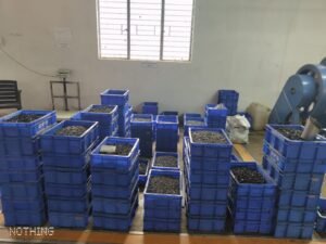 WhatsApp Image 2024-06-18 at 12.13.12 (1)